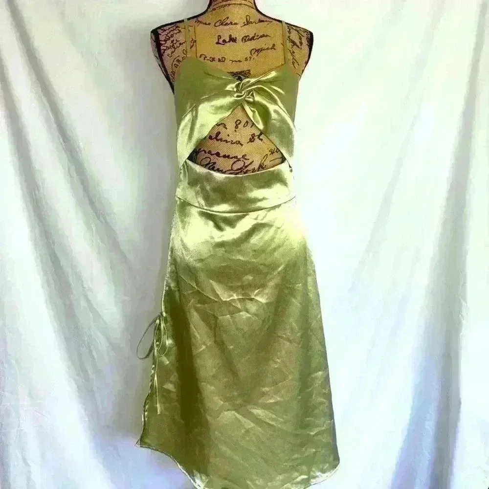 Cider Dress